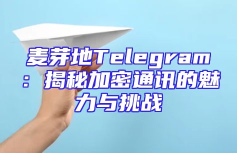 麦芽地Telegram：揭秘加密通讯的魅力与挑战