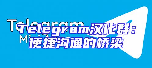 Telegram汉化群：便捷沟通的桥梁