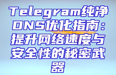 Telegram纯净DNS优化指南：提升网络速度与安全性的秘密武器