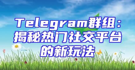 Telegram群组：揭秘热门社交平台的新玩法