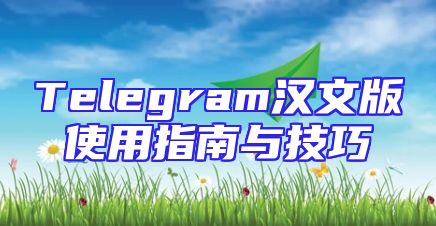 Telegram汉文版使用指南与技巧