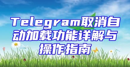 Telegram取消自动加载功能详解与操作指南