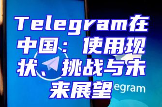 Telegram在中国：使用现状、挑战与未来展望