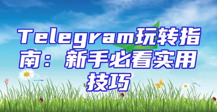 Telegram玩转指南：新手必看实用技巧