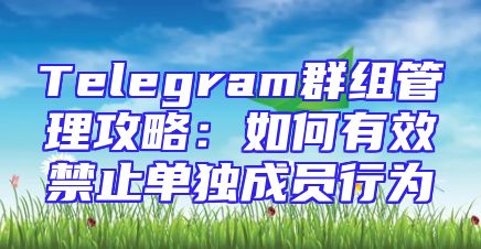 Telegram群组管理攻略：如何有效禁止单独成员行为