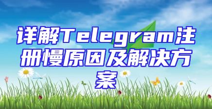 详解Telegram注册慢原因及解决方案