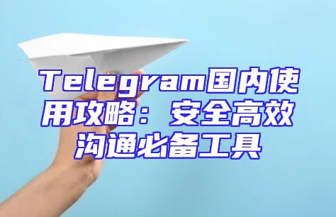 Telegram国内使用攻略：安全高效沟通必备工具